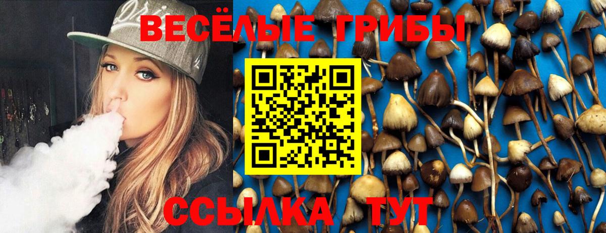 Карталы  Галлюциногенные грибы Cubensis  Галлюциногенные грибы MAGIC MUSHROOMS  Вход с VPN 