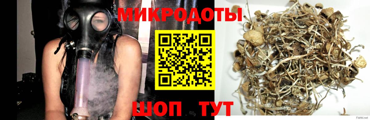 Галлюциногенные грибы GOLDEN TEACHER Карталы